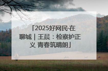 2025好网民·在聊城｜王晨：检察护正义 青春筑晴朗