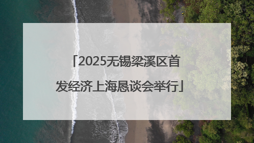 2025无锡梁溪区首发经济上海恳谈会举行