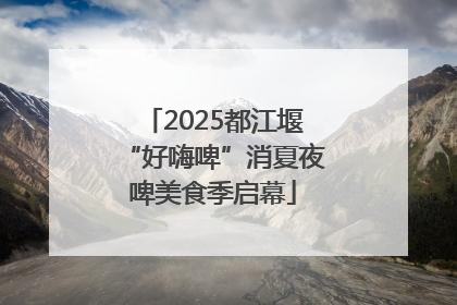2025都江堰“好嗨啤”消夏夜啤美食季启幕