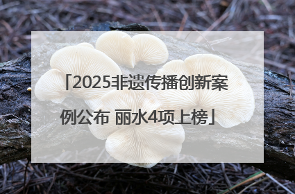 2025非遗传播创新案例公布 丽水4项上榜