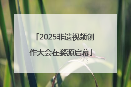 2025非遗视频创作大会在婺源启幕