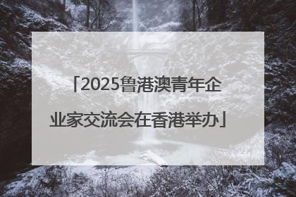 2025鲁港澳青年企业家交流会在香港举办