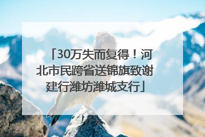 30万失而复得！河北市民跨省送锦旗致谢建行潍坊潍城支行