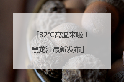 32℃高温来啦！黑龙江最新发布