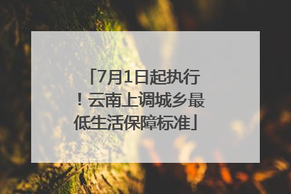 7月1日起执行！云南上调城乡最低生活保障标准