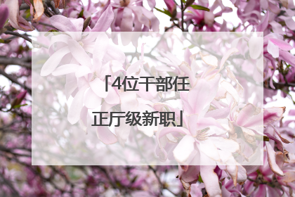 4位干部任正厅级新职