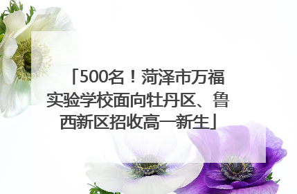 500名！菏泽市万福实验学校面向牡丹区、鲁西新区招收高一新生