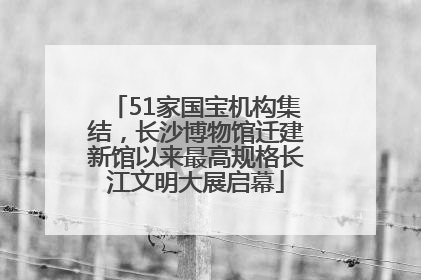 51家国宝机构集结，长沙博物馆迁建新馆以来最高规格长江文明大展启幕