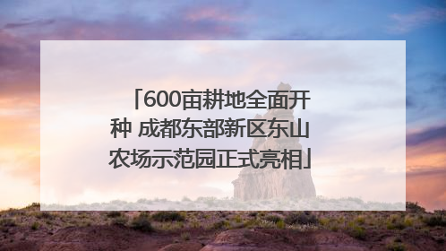 600亩耕地全面开种 成都东部新区东山农场示范园正式亮相