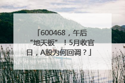 600468，午后“地天板”！5月收官日，A股为何回调？
