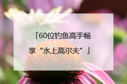60位钓鱼高手畅享“水上高尔夫”
