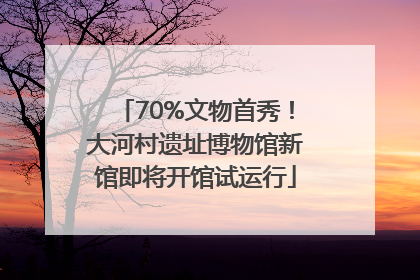 70%文物首秀！大河村遗址博物馆新馆即将开馆试运行