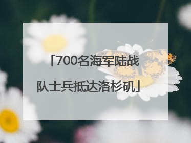 700名海军陆战队士兵抵达洛杉矶