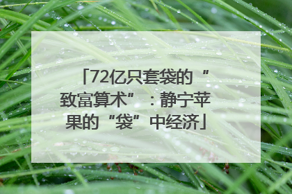 72亿只套袋的“致富算术”：静宁苹果的“袋”中经济