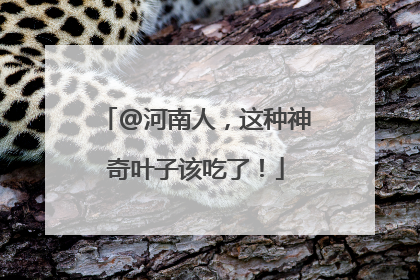 @河南人，这种神奇叶子该吃了！
