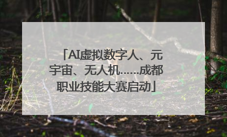 AI虚拟数字人、元宇宙、无人机……成都职业技能大赛启动