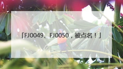 FJ0049、FJ0050，被点名！