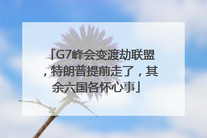 G7峰会变渡劫联盟，特朗普提前走了，其余六国各怀心事