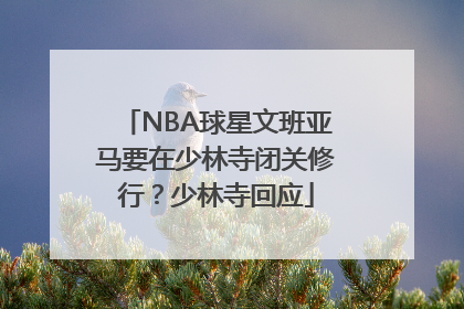 NBA球星文班亚马要在少林寺闭关修行？少林寺回应