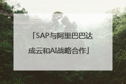 SAP与阿里巴巴达成云和AI战略合作