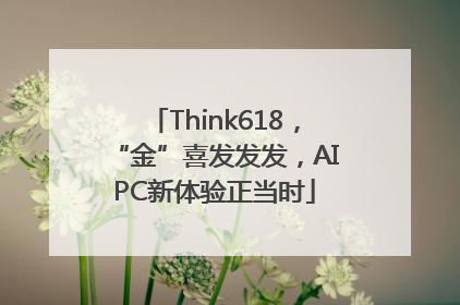 Think618，“金”喜发发发，AIPC新体验正当时