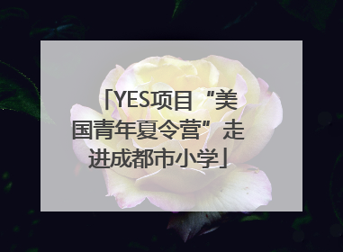 YES项目“美国青年夏令营”走进成都市小学